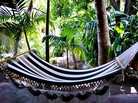 Campsite Camping & Voluntary Hotel Cozumel Mexico